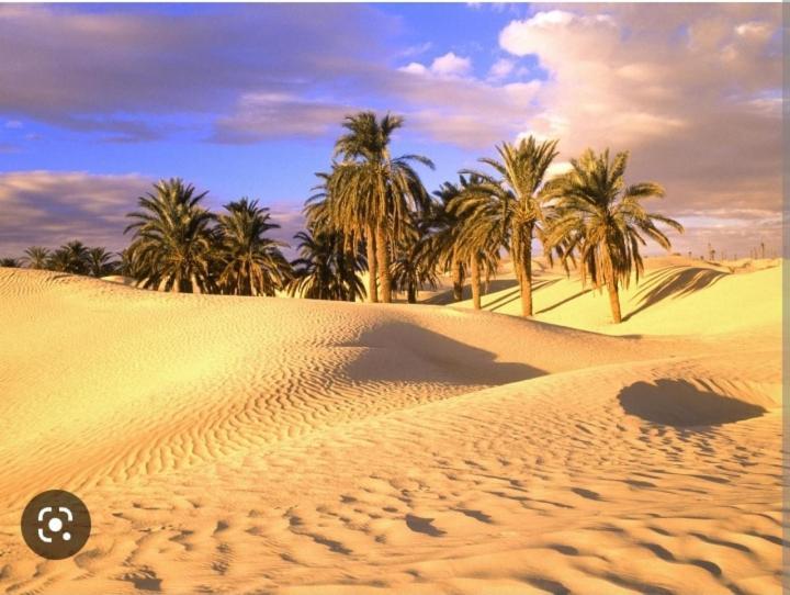 Guest house Sable Chaud 4*
